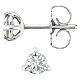 Third-carat Platinum Diamond Studs